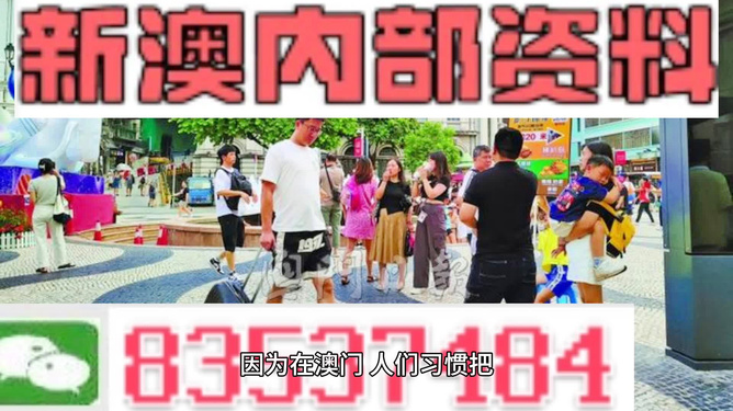 2024新澳正版免费资料大全,专业执行解答_冒险版55.106