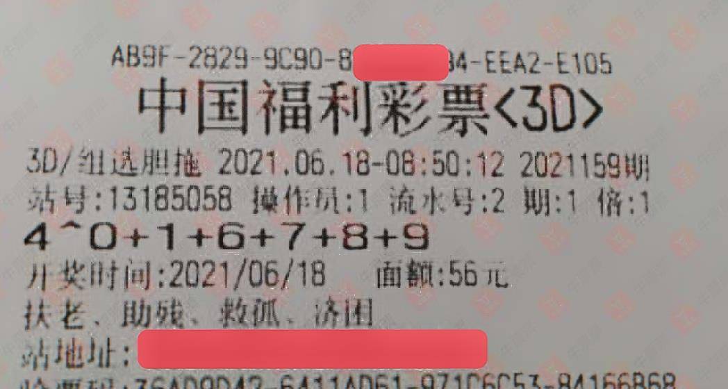 新粤门六舍彩资料正版,数据解析支持计划_3DM85.659