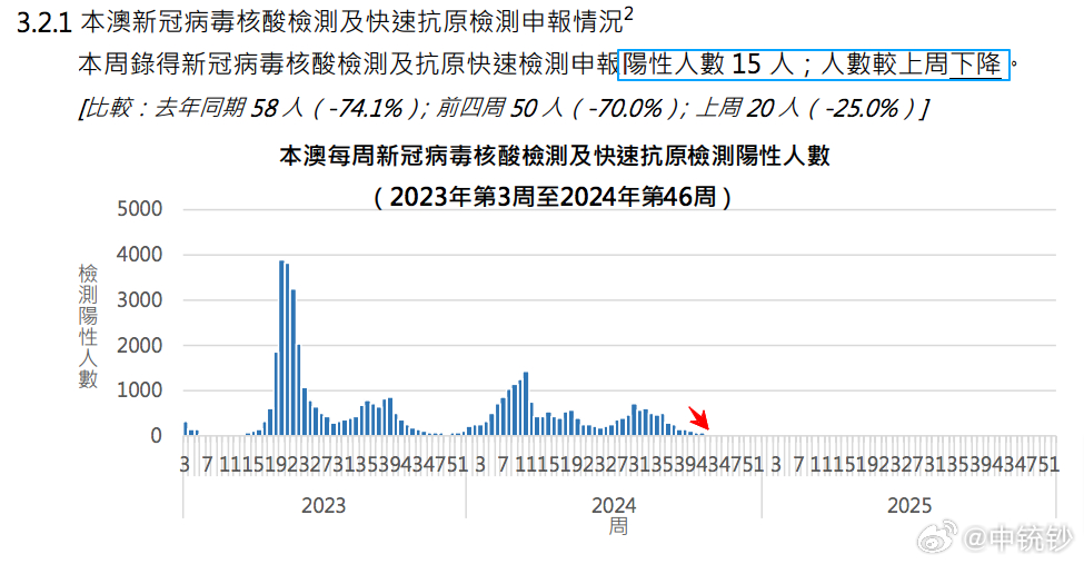 2024年12月1日 第21页