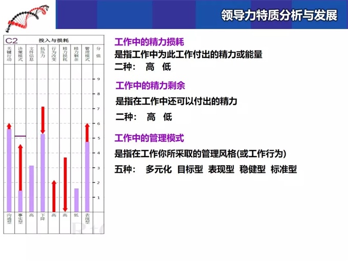 2024新澳正版免费资料,高速响应执行计划_PalmOS36.721