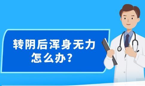 2024年12月3日 第33页