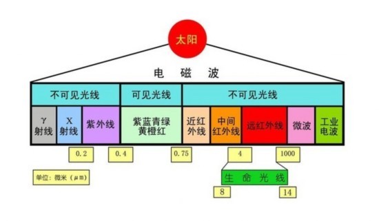 澳门一肖一码一必中一肖雷锋,深度解答解释定义_苹果31.498