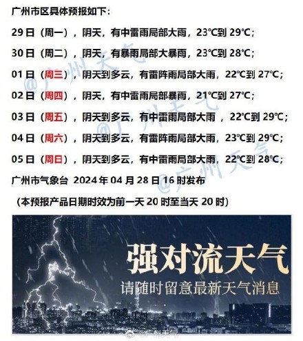 2024年12月7日 第49页