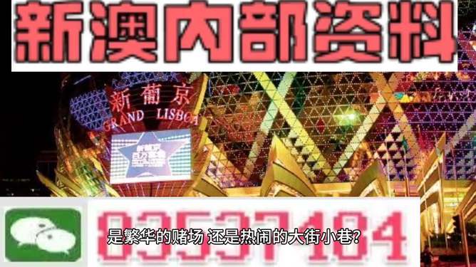 新澳门精准资料大全管家婆料,实践性执行计划_手游版72.805