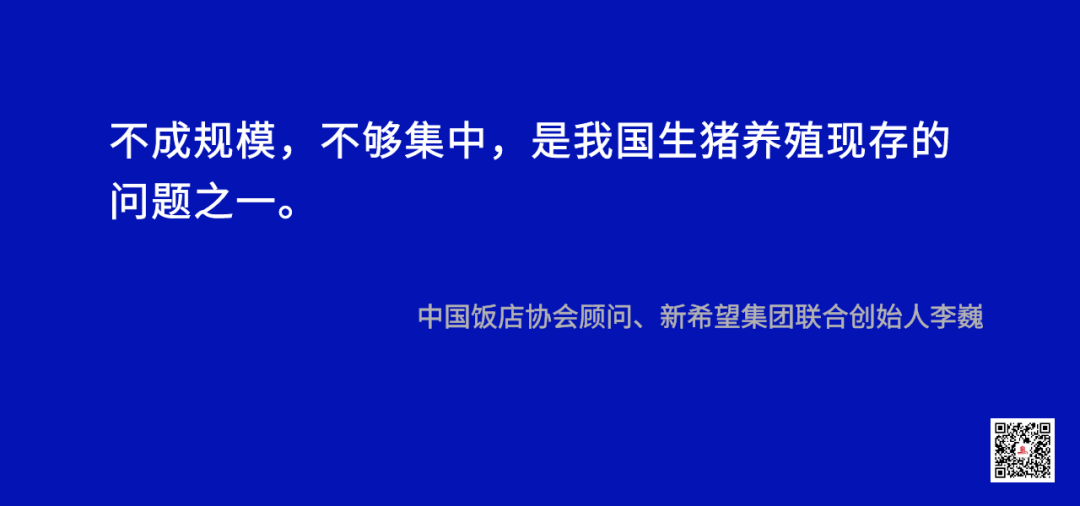 新澳门四肖三肖必开精准,效率资料解释落实_薄荷版73.132