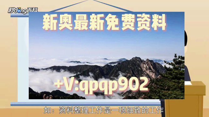 2024新奥正版资料免费提供,最新核心解答落实_R版90.325