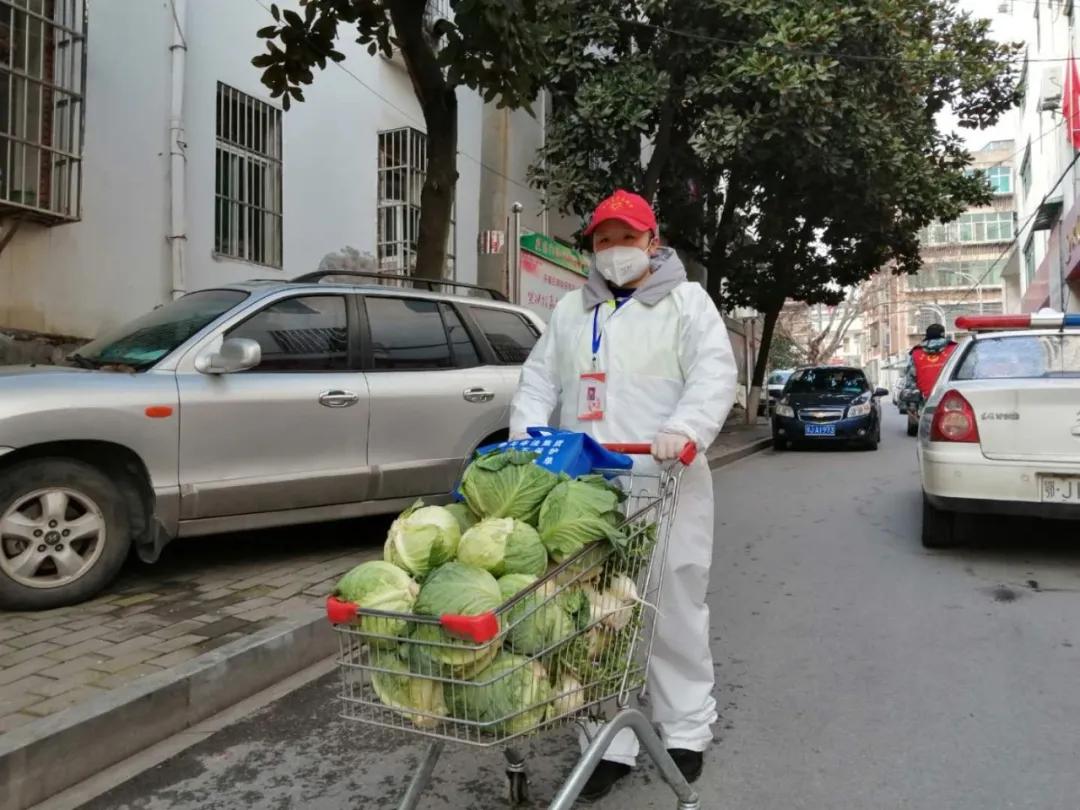 小草社区最新视频播放趋势探讨