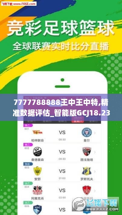 7777788888王中王凤凰巢｜实用技巧与详细解析