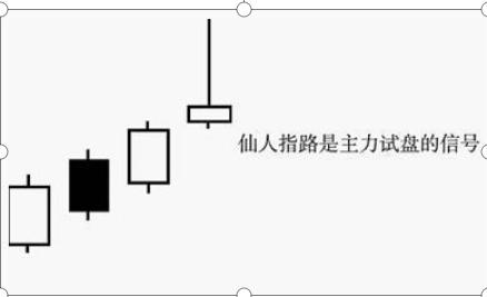 深度解析股市最新涨停股，市场洞察与热点追踪