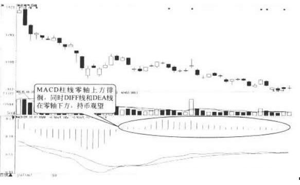 大杨创世引领变革，共创未来，最新公告揭秘未来发展之路