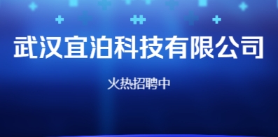 武汉58招聘网最新招聘，职业发展的首选平台